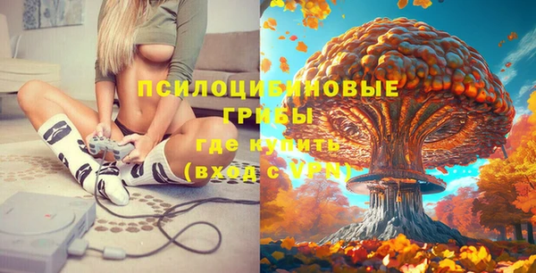 стафф Новодвинск