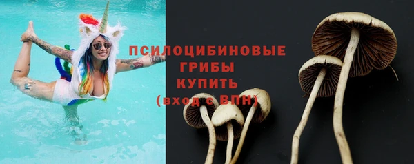 гашик Нея