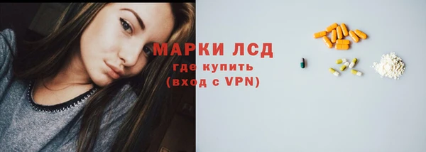 стафф Новодвинск